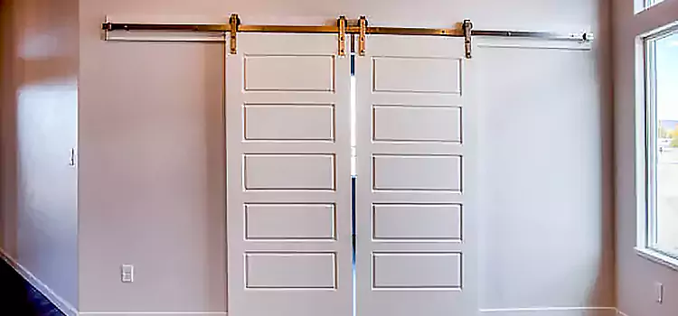Glass Barn Door with Installation Hardware Kit Lauderdale Lakes