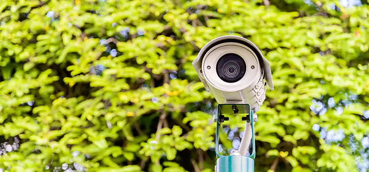 Advanced Surveillance Solutions for Every Need in Lauderdale Lakes